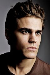 Paul Wesley as Stefan Salvatore