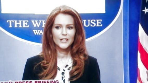 Abby Whelan's Falling Iris-Print Song Blouse on Scandal