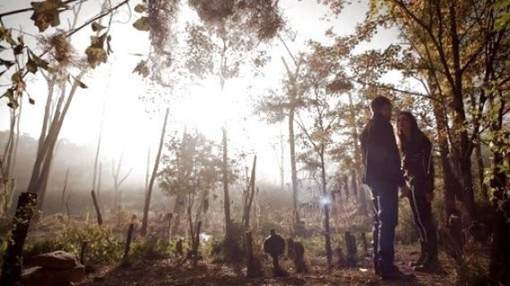 Hayley Marshall's Skinny Leggings on The Originals