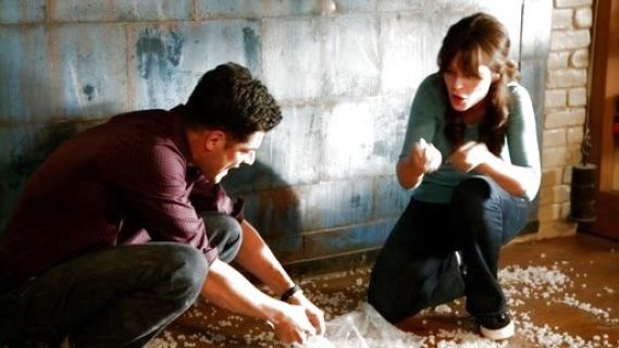 Jess Day's Classic Canvas Sneakers on New Girl