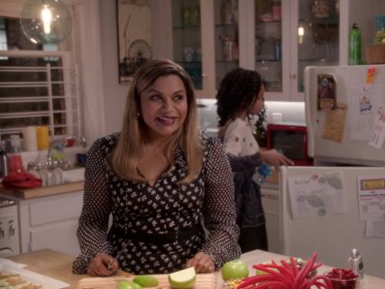 Mindy Lahiri's Floral Dress on The Mindy Project