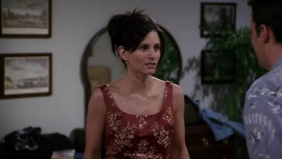 Monica Geller's Silk Dress - Friends