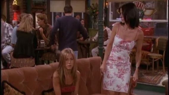 Monica Geller's Vintage 90s Toile Print Dress - Friends
