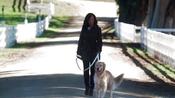 Olivia Pope's 'Finsbridge' Belted Quilted Jacket on Scandal