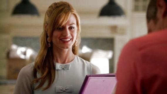 Paige Collins's Bow Detail Stretch A-Line Dress on Royal Pains