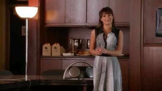 Rachel Berry's Denim Print Shirt Dress on Glee