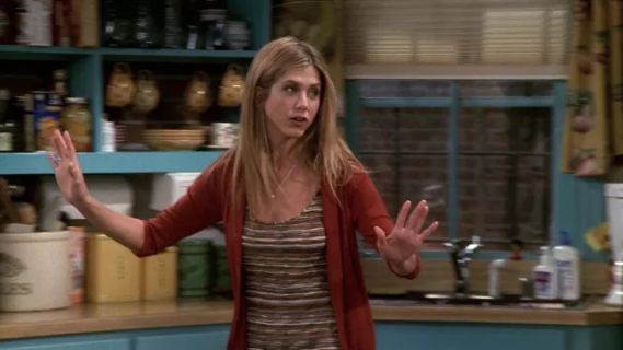 Rachel Green's Missoni Brown Striped Dress - Friends