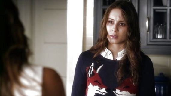 Spencer Hastings's Kissing Fox Sweater on Pretty Little Liars