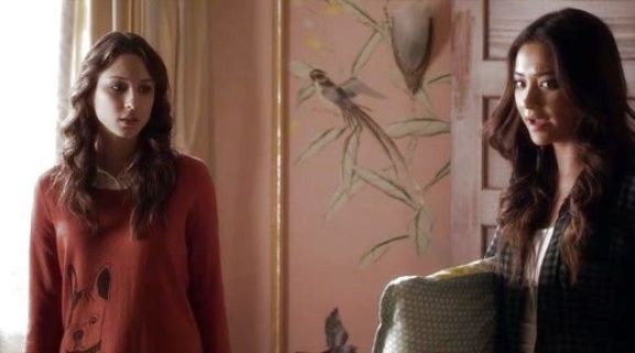 Spencer Hastings's Long-Sleeve Scoop-Neck Dog Print Sweater on Pretty Little Liars