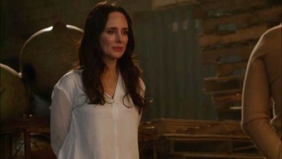 Victoria Grayson's Morse Sheer-Sleeve Blouse on Revenge