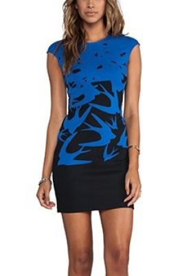 Cap Sleeve Swallow Dress