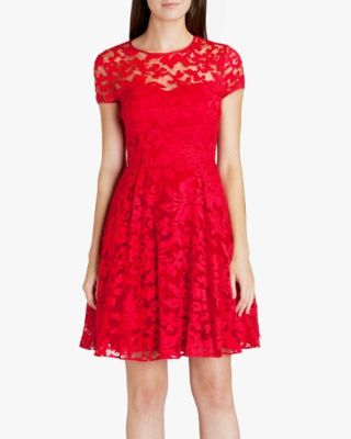 Caree Sheer Floral Dress