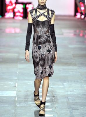 Fall 2012 Embellished Dress