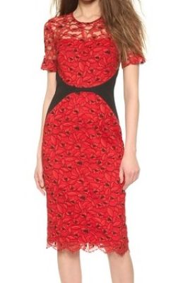 Fitted Lace Sheath Dress