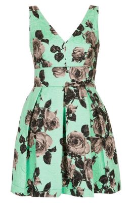 Floral Print Fit & Flare Dress