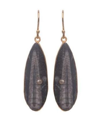 Fossil Earrings