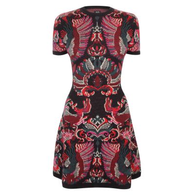 Griffin Intarsia Knit Mini-Dress