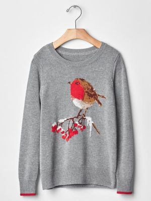 Intarsia winter bird sweater