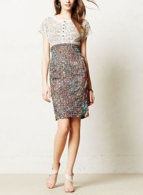 Lace Study Dress