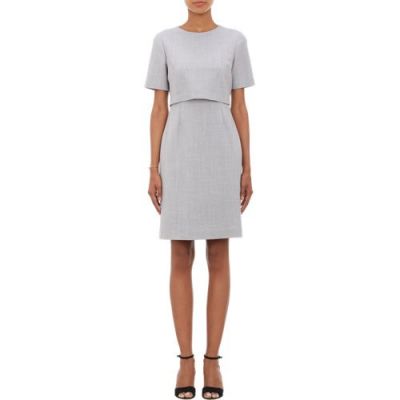 Layered Sheath Dress
