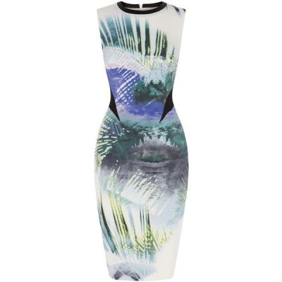 Palm Tree Print On Signature Stretch Dress