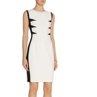 Paneled stretch-crepe dress