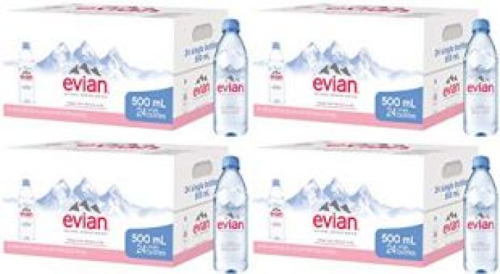 Evian - Poli Natural Spring Water Individual 500 ml (16.9 oz.) Bottles, Naturally Filtered Spring Water in Individual-Sized Plastic Bottles, 4 Cases of 24