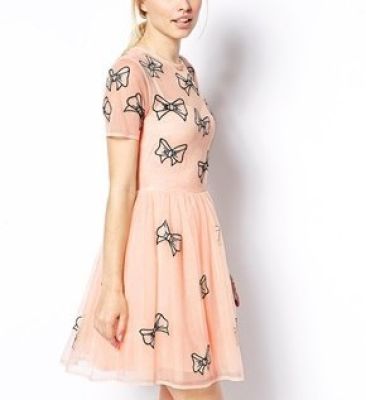 Skater Dress With Bow Embroidery