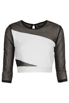 Slashed Mesh Crop Top