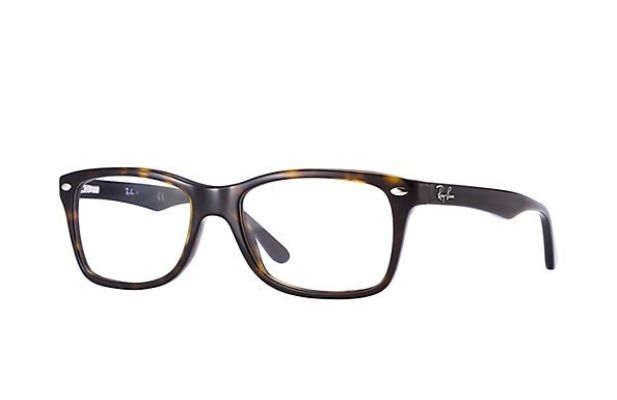 The Timeless Eyeglasses in Tortoise