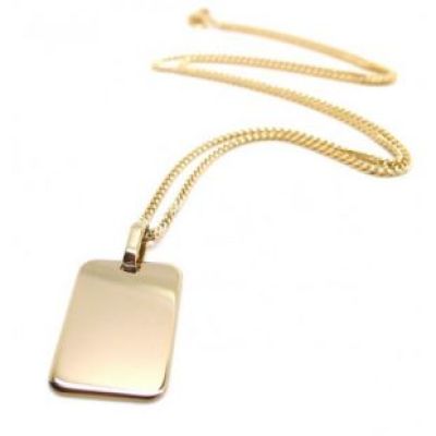 Gold Plaque Necklace