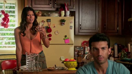 Xiomara Villanueva's Sleeveless Chain-Detail Blouse on Jane the Virgin