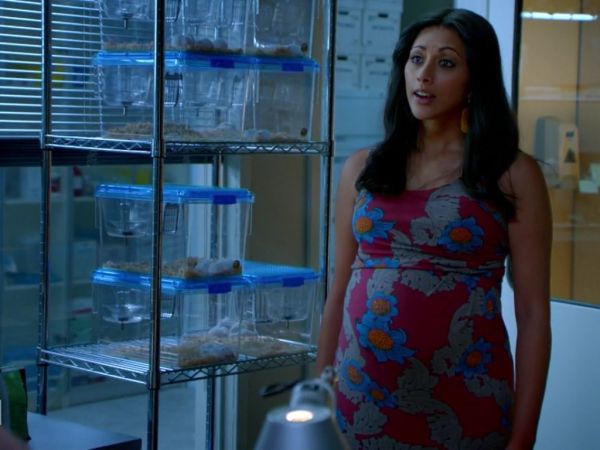 Divya Katdare's Floral Maternity Dress on Royal Pains