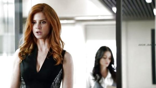 Donna Paulsen's Lace Panel Sheath Dress on Suits