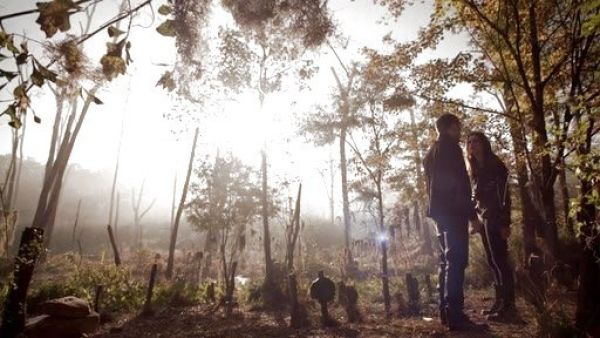 Hayley Marshall's Skinny Leggings on The Originals