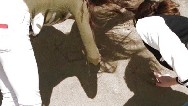 Kendall Jenner's Skin 5 Used White Jeans on Keeping Up With The Kardashians