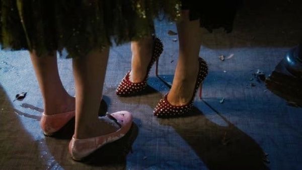 Lemon Breeland's Lovestruck Kitty Velvet Slipper, Pink on Hart of Dixie