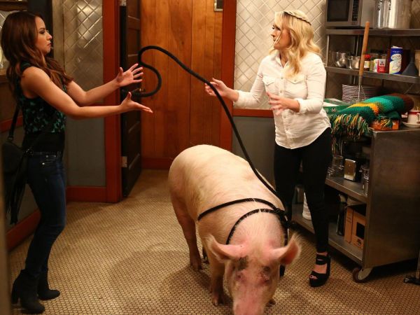 Sofia Rodriguez's Green Printed Crop Top on Young & Hungry