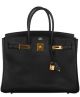 Birkin Bag with Gold Hardware