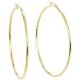 Gold Hoops