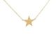 Lucky Star Necklace