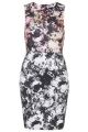 Photo Floral Print Bodycon Dress