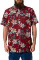 The Aloha Aina SS Buttondown Shirt in Red
