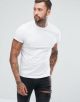 ASOS - Crew Neck T-Shirt White