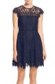 Rhianna Open Back Lace Fit & Flare Cocktail Dress